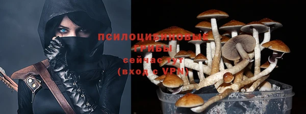 apvp Няндома