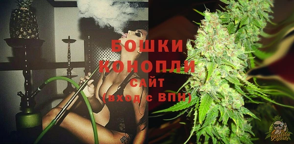 apvp Няндома