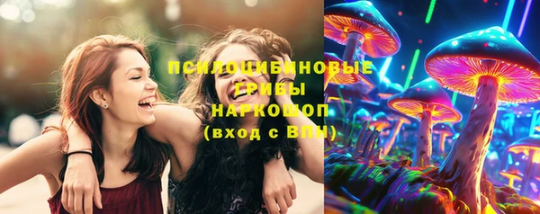 apvp Нязепетровск