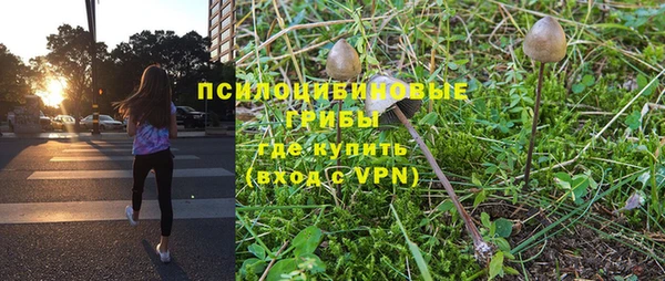apvp Нязепетровск
